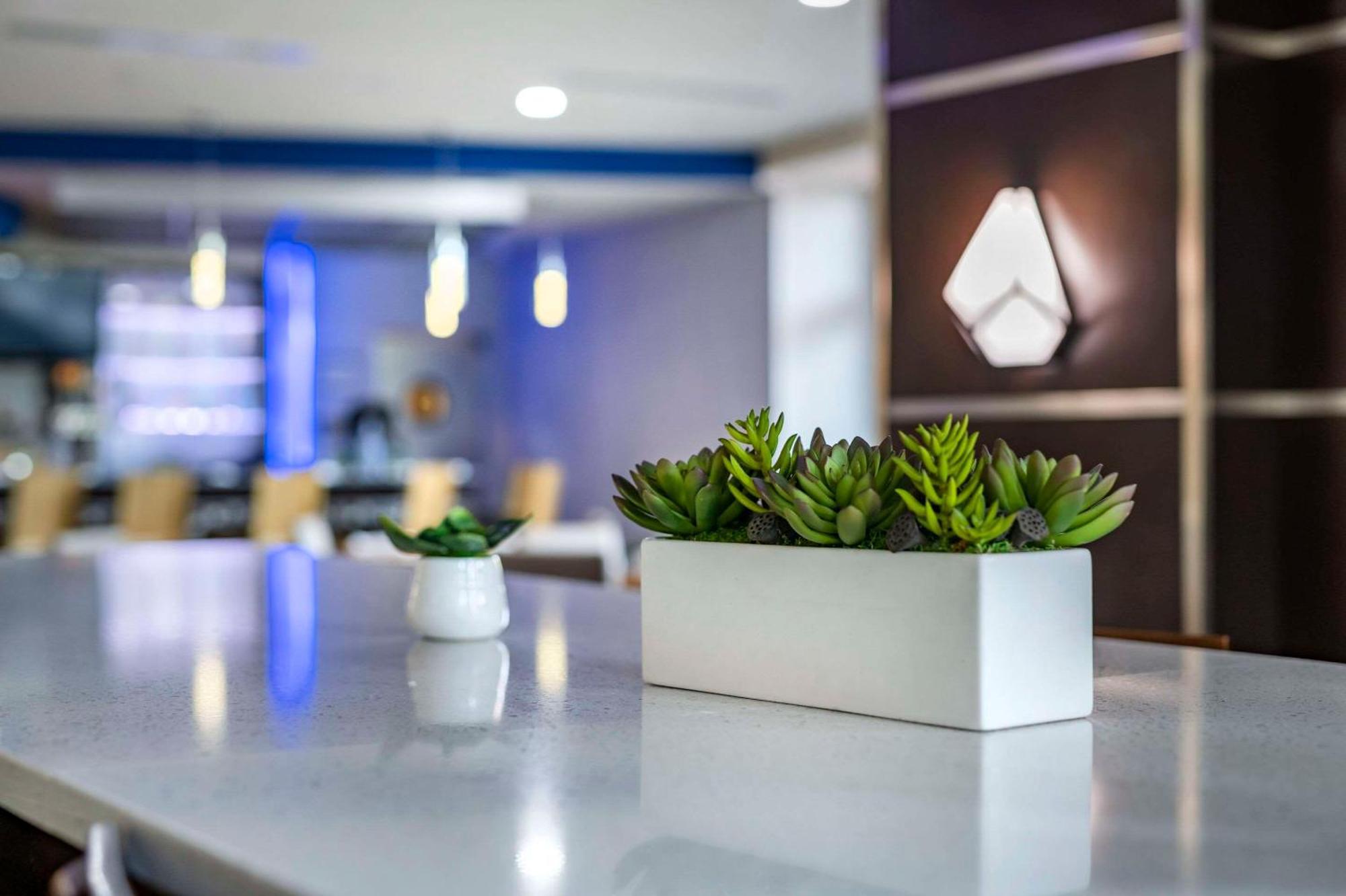 Cambria Hotel Ft Lauderdale, Airport South & Cruise Port Dania Beach Bagian luar foto